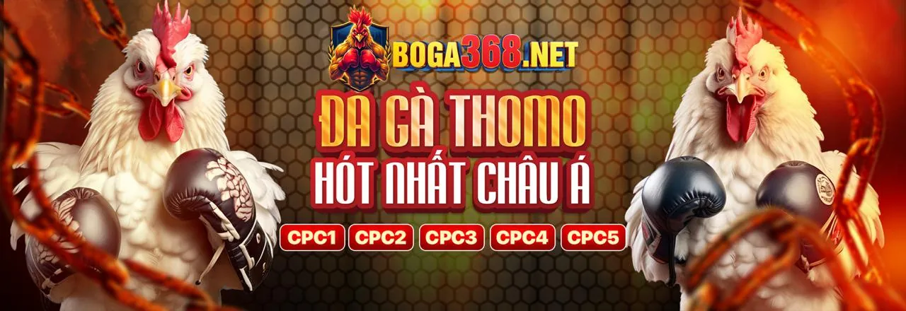 Hình ảnh giới thiệu nc88 win, nền tảng cá cược trực tuyến hàng đầu Việt Nam